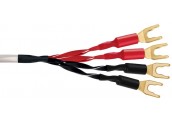 WireWorld Luna 8 - LUB Cable Altavoz