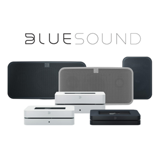 Bluesound Pulse 2i - Altavoz inteligente inalámbrico para varias  habitaciones con Bluetooth, color blanco, compatible con Alexa y Siri